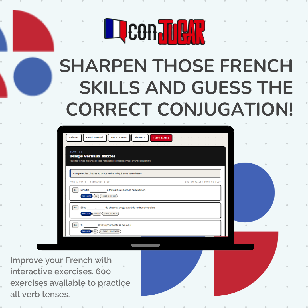 French Digital Learning Platform